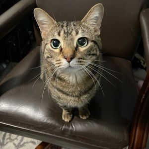 Meet your Posher, John